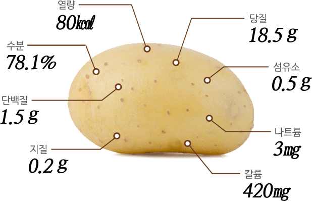 감자의 효능
