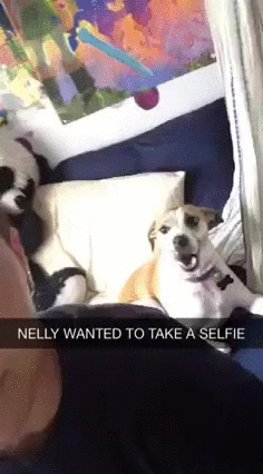 넬리는 셀피를 원한다.