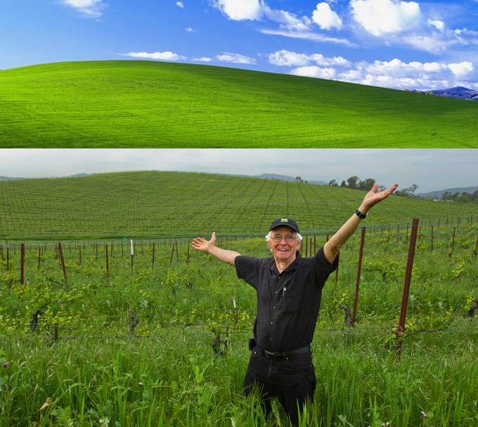 Microsoft Windows XP - Bliss