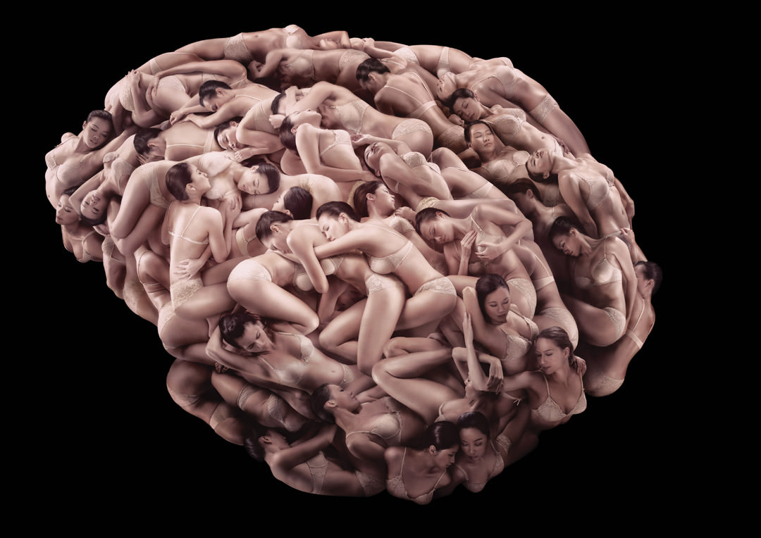 남자들의 뇌 구조
