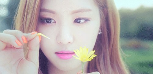 [MV] 에이핑크 - 꽃잎점
