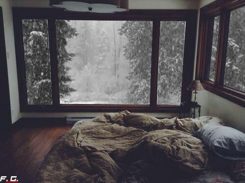 창밖의 겨울 풍경