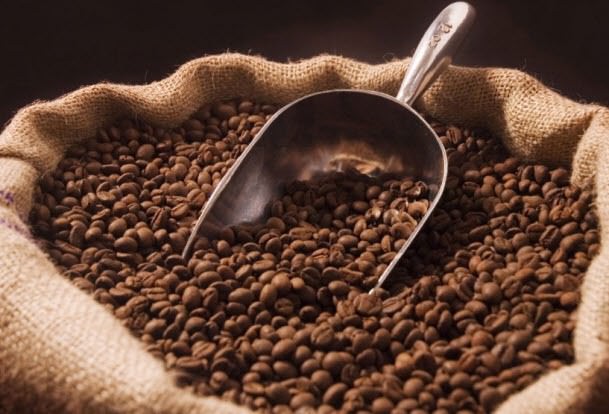 커피 원두 찌꺼기 활용법