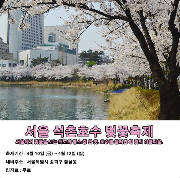 전국 벚꽃 축제 모음