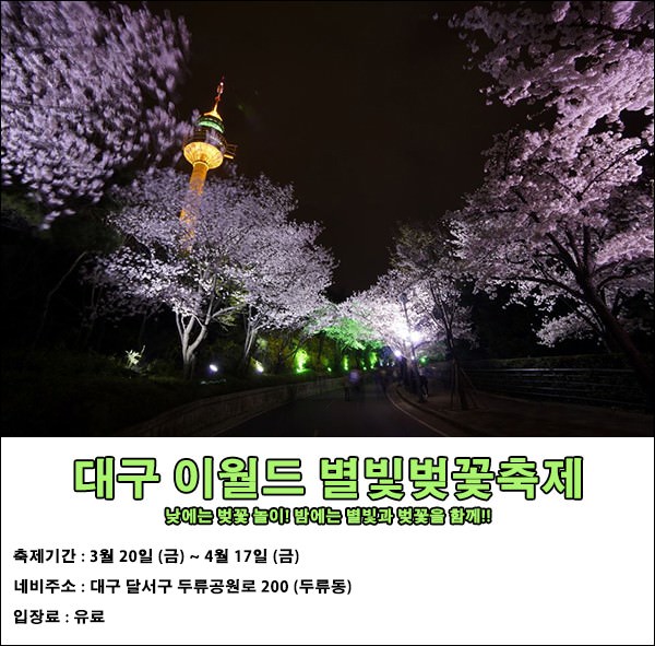 전국 벚꽃 축제 모음