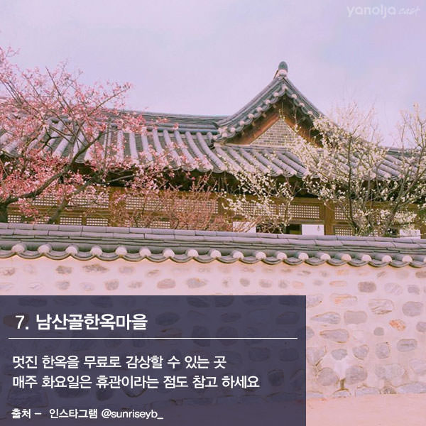 서울 무료 데이트 TOP10