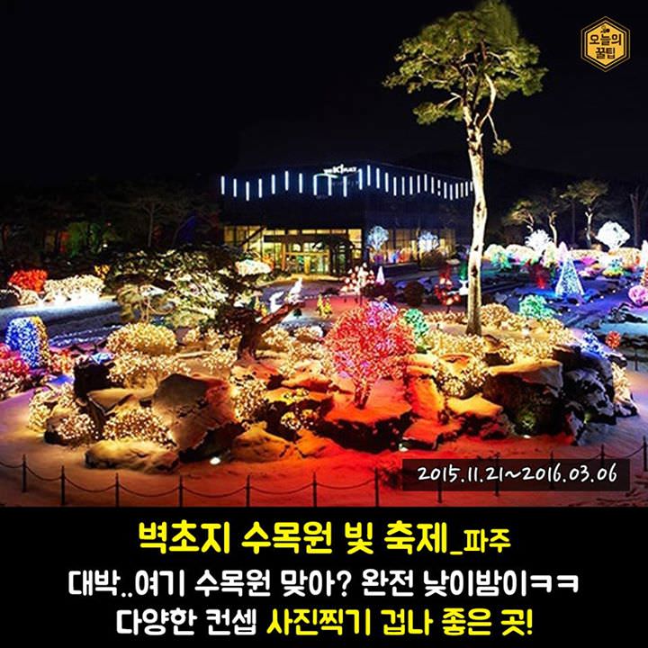 연말 데이트 코스 '겨울 불빛 축제 베스트 8'