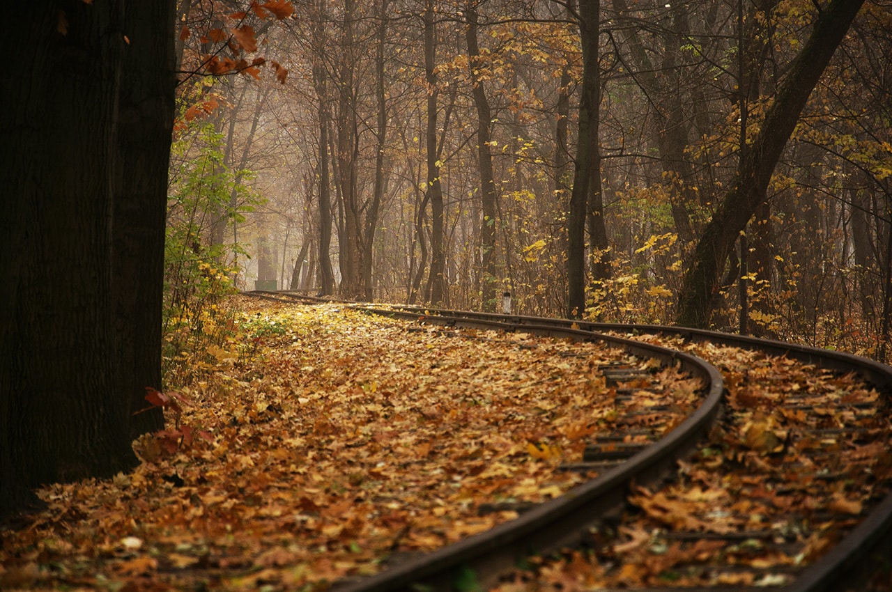 Autumn Railroad