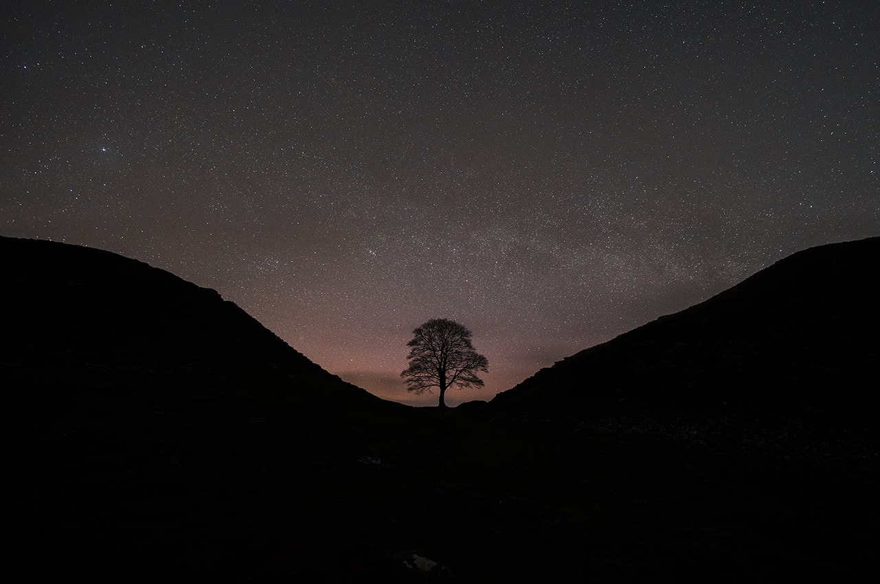 Starry Night Sycamore Gap Tree