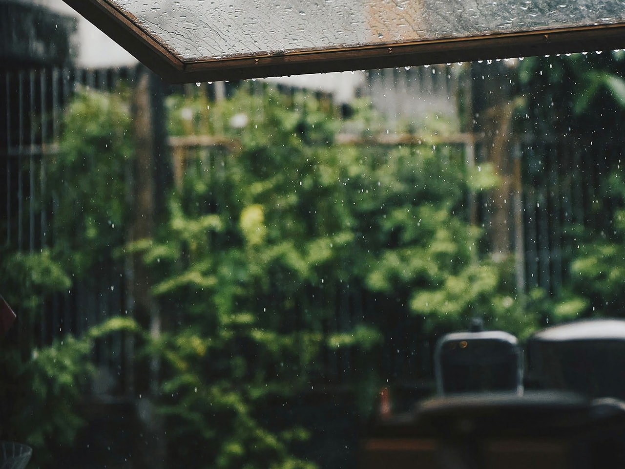 Rainy Day