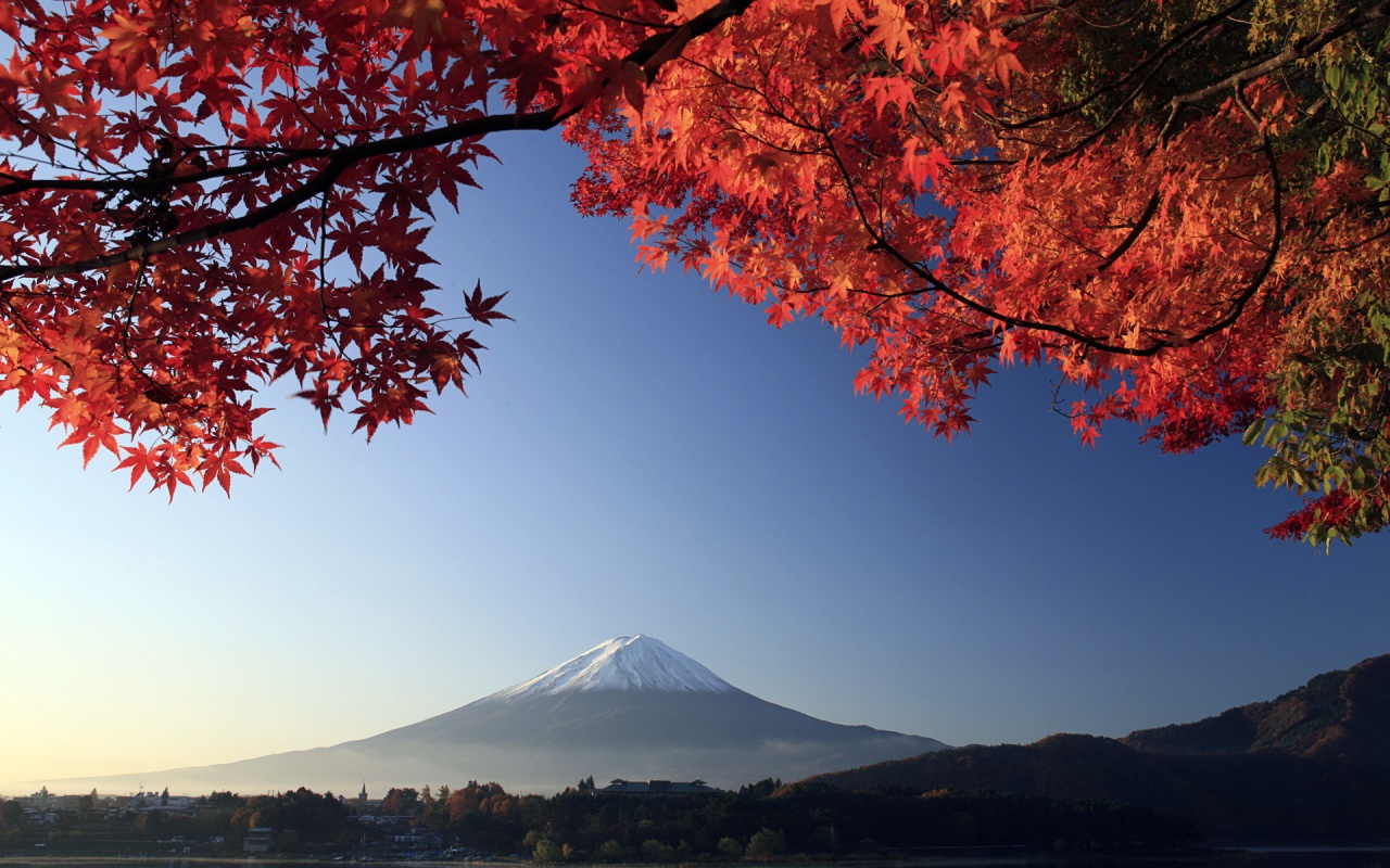 Mount Fuji Autumn Maple Japan