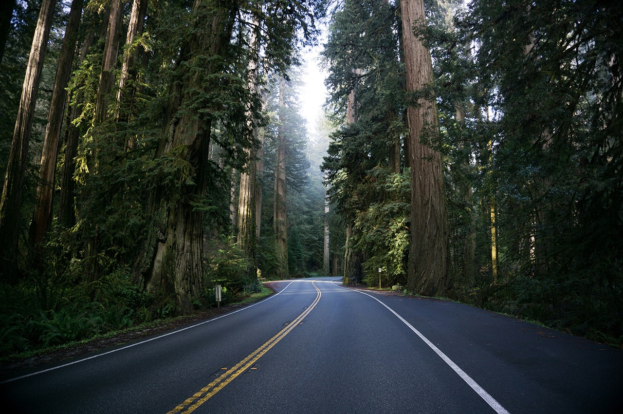 Forest Road
