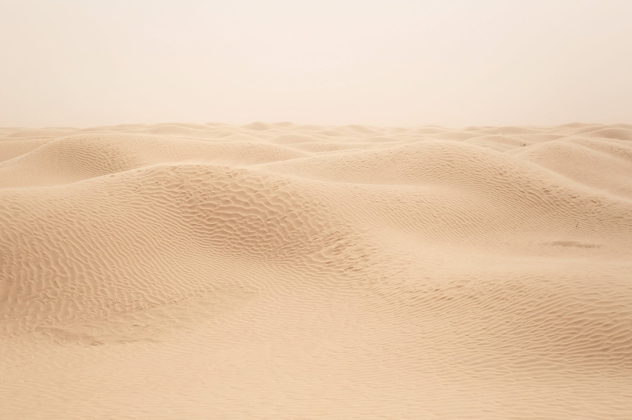 Sahara Sand Dunes