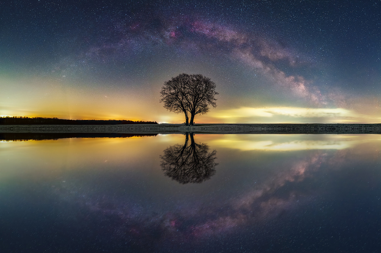 Milky Way Tree Reflection