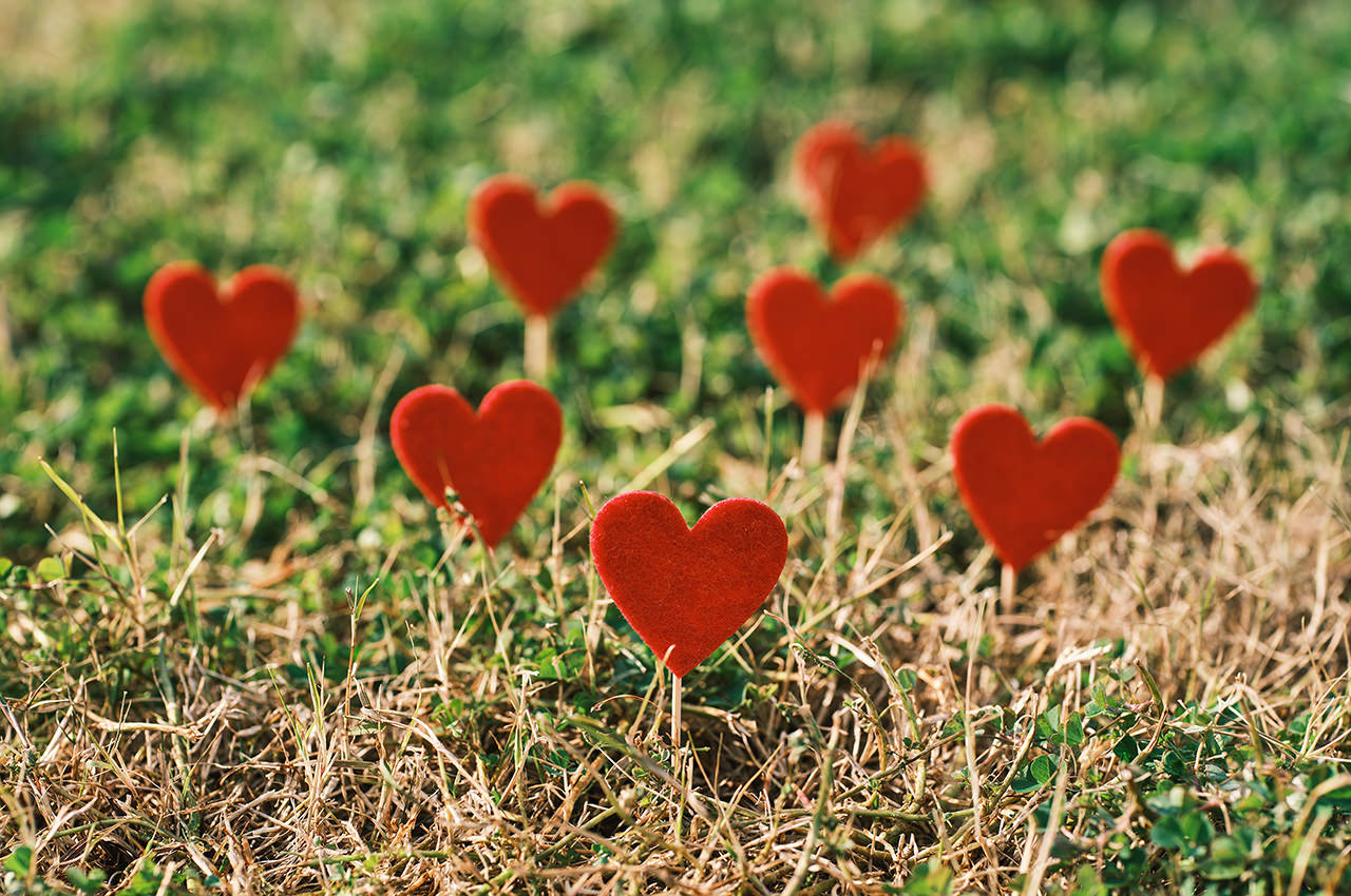 Red Hearts on the Grass