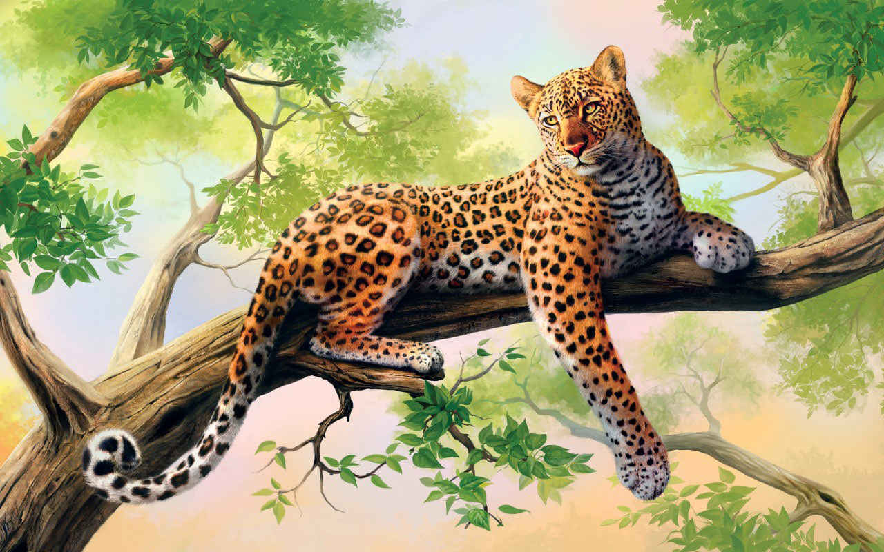 Leopard Artwork