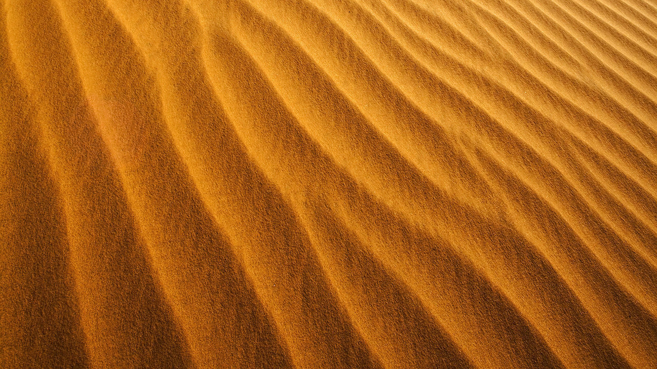Desert Sand