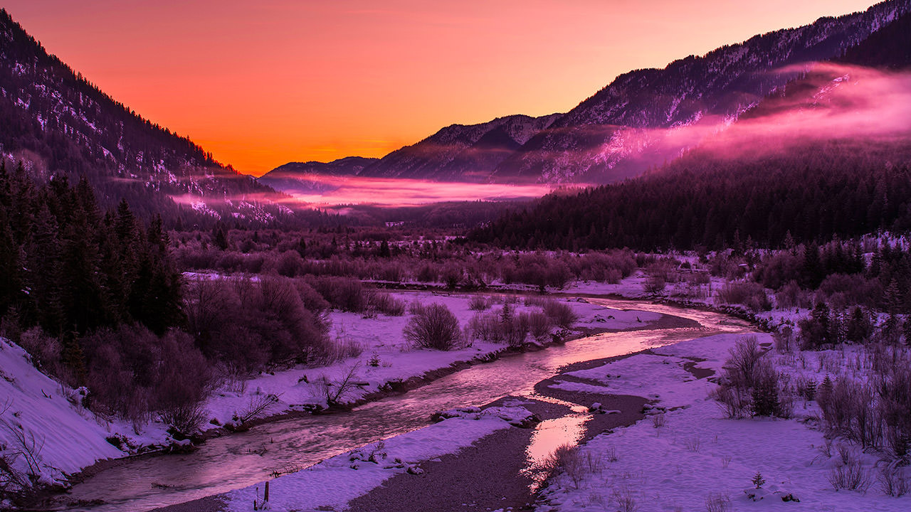 Purple Winter Landscape