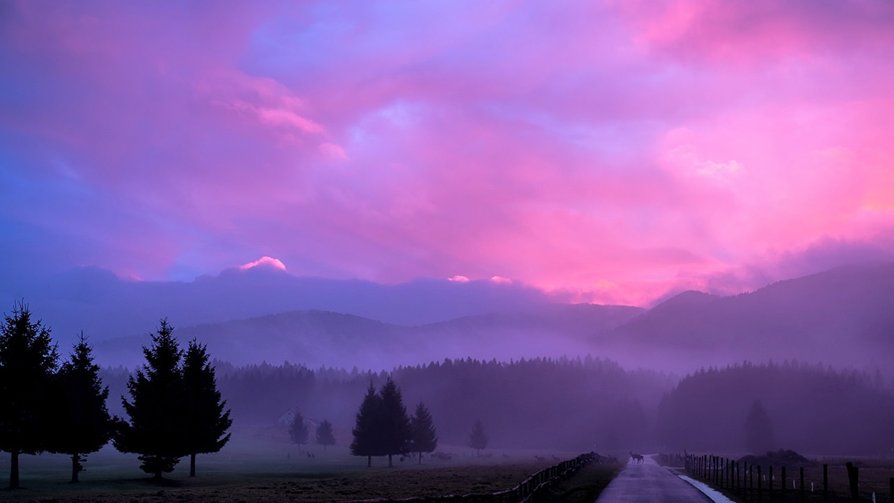 Misty Pink Sunset