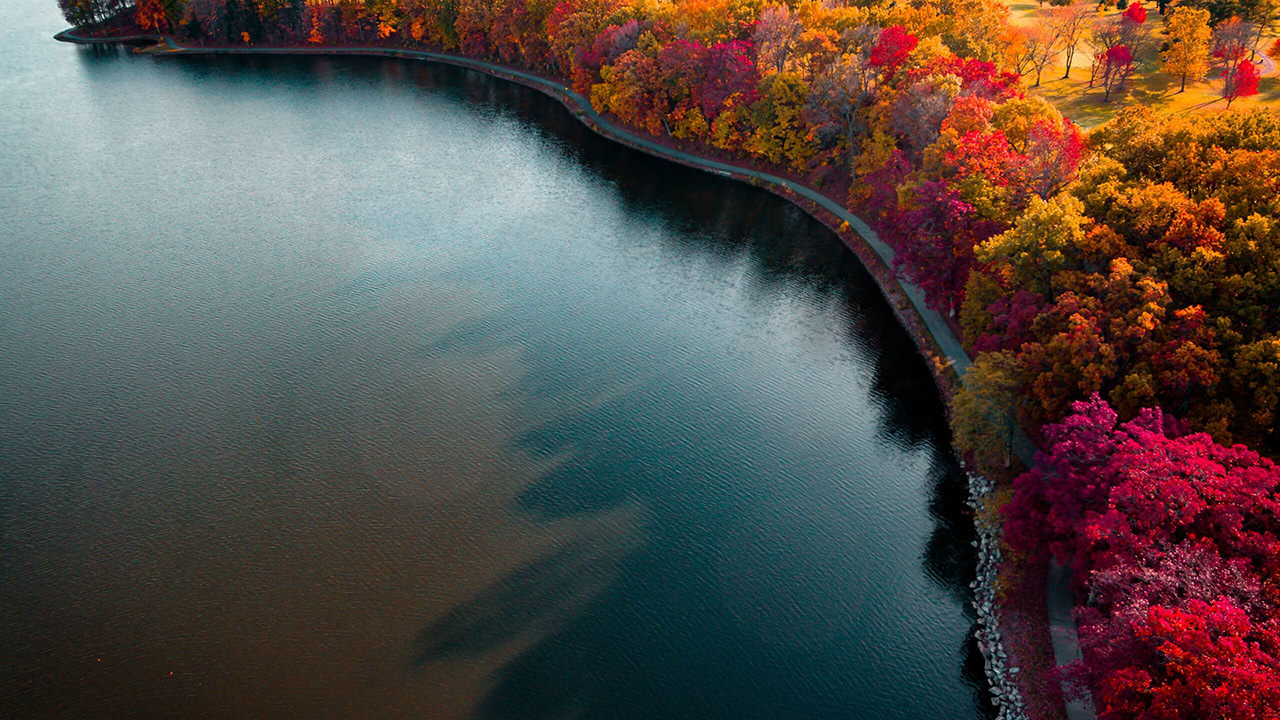 Autumn Lake Boundary Path