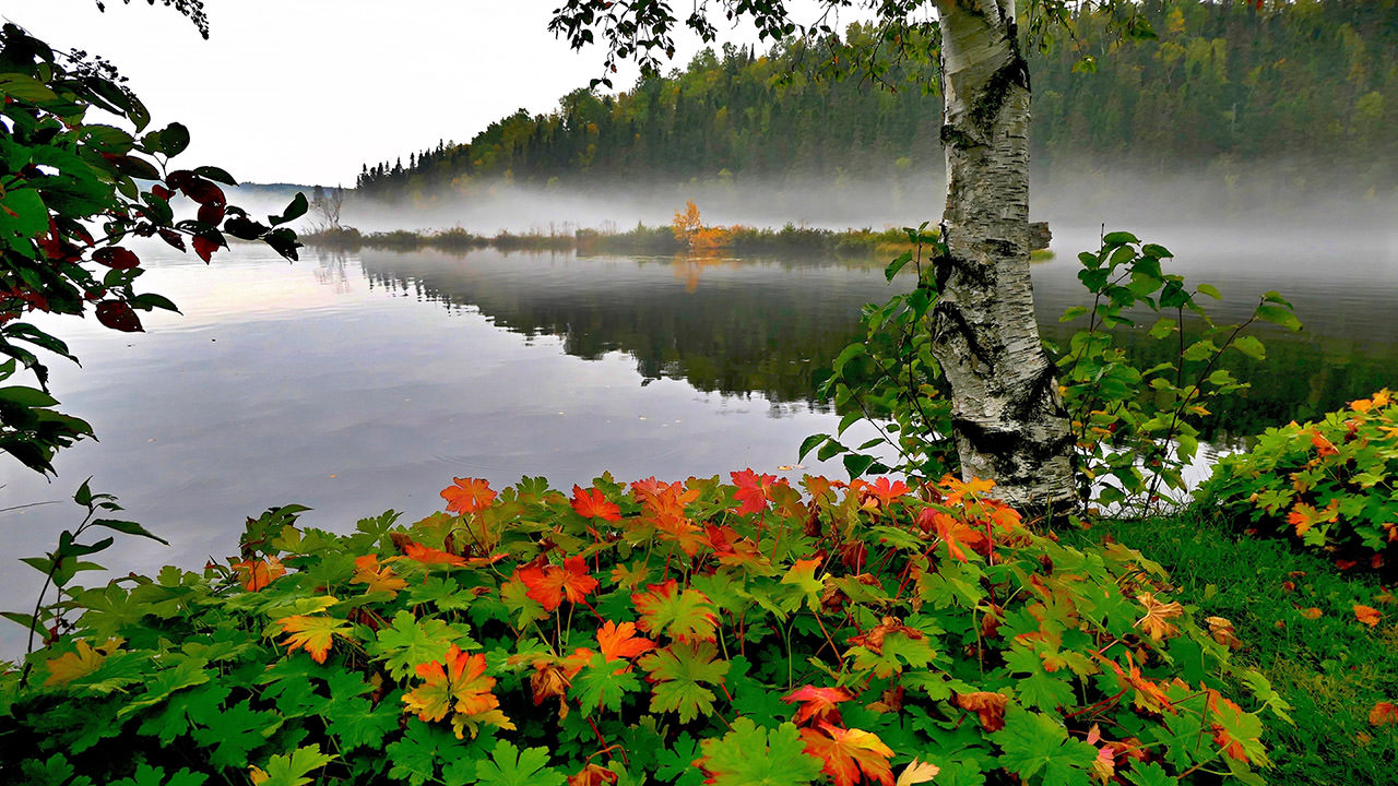 Autumn Mist on the Lake
