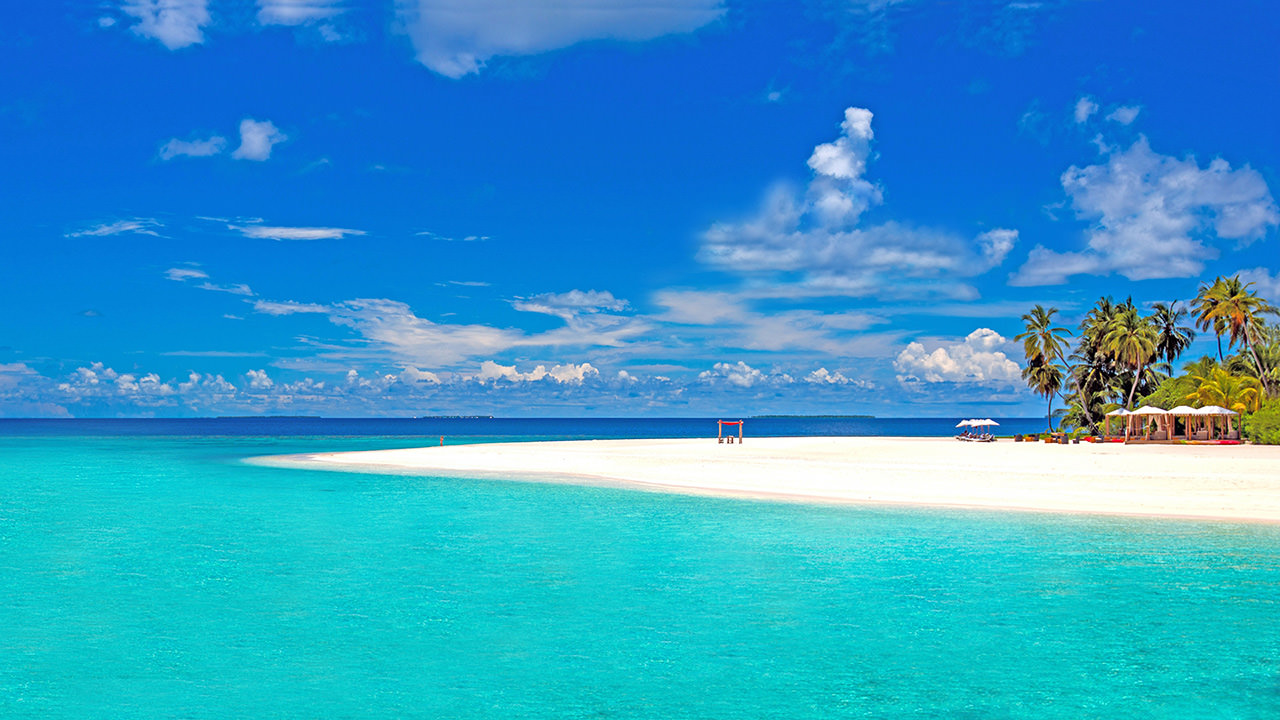 Tropical Beach