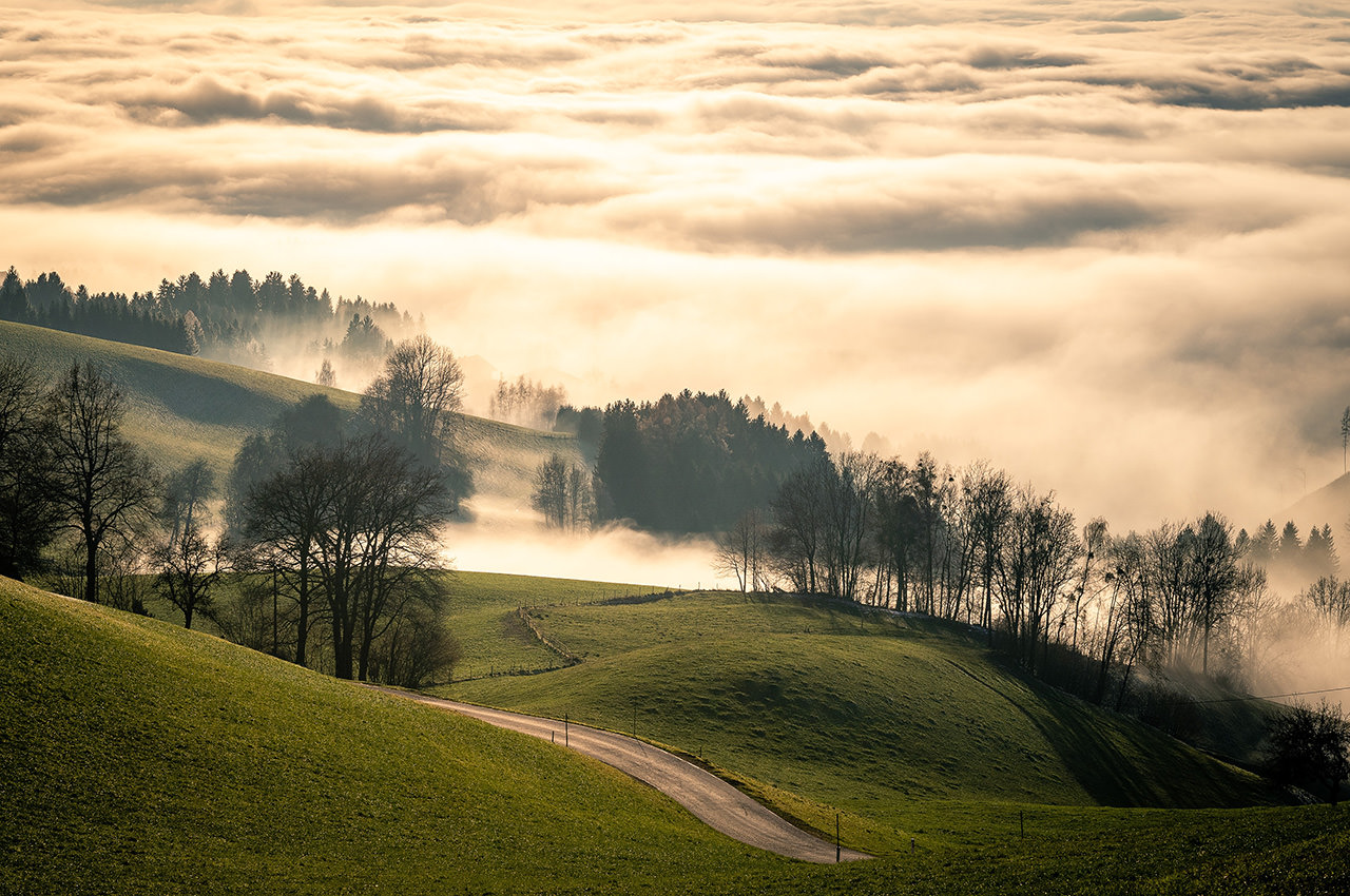 Austria Foggy Hill