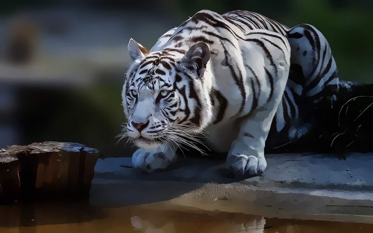 White Tiger Art Painting