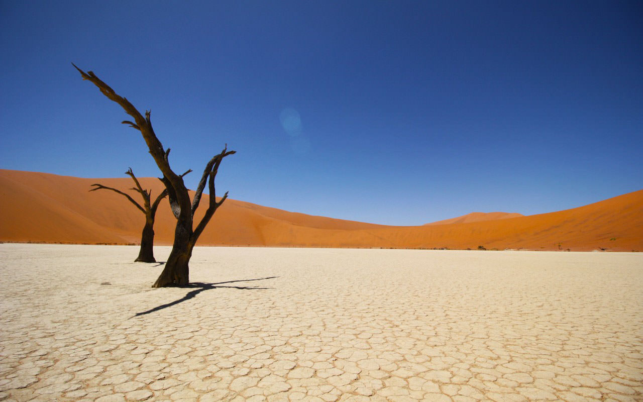 Namib Coastal Desert