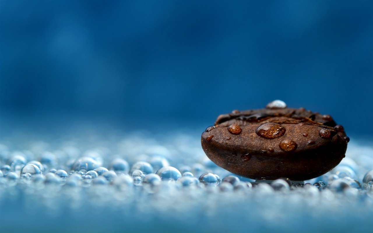 Coffee Bean With Water Drops
