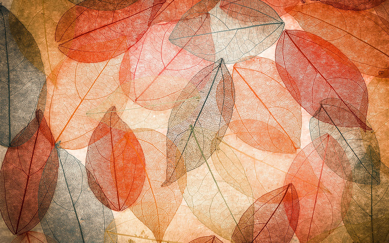 Autumn Abstract Transparent Leaves