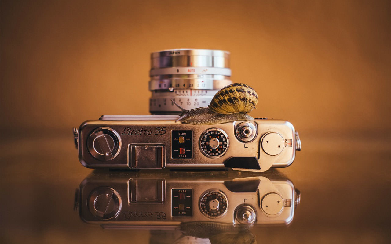 Camera and Snail