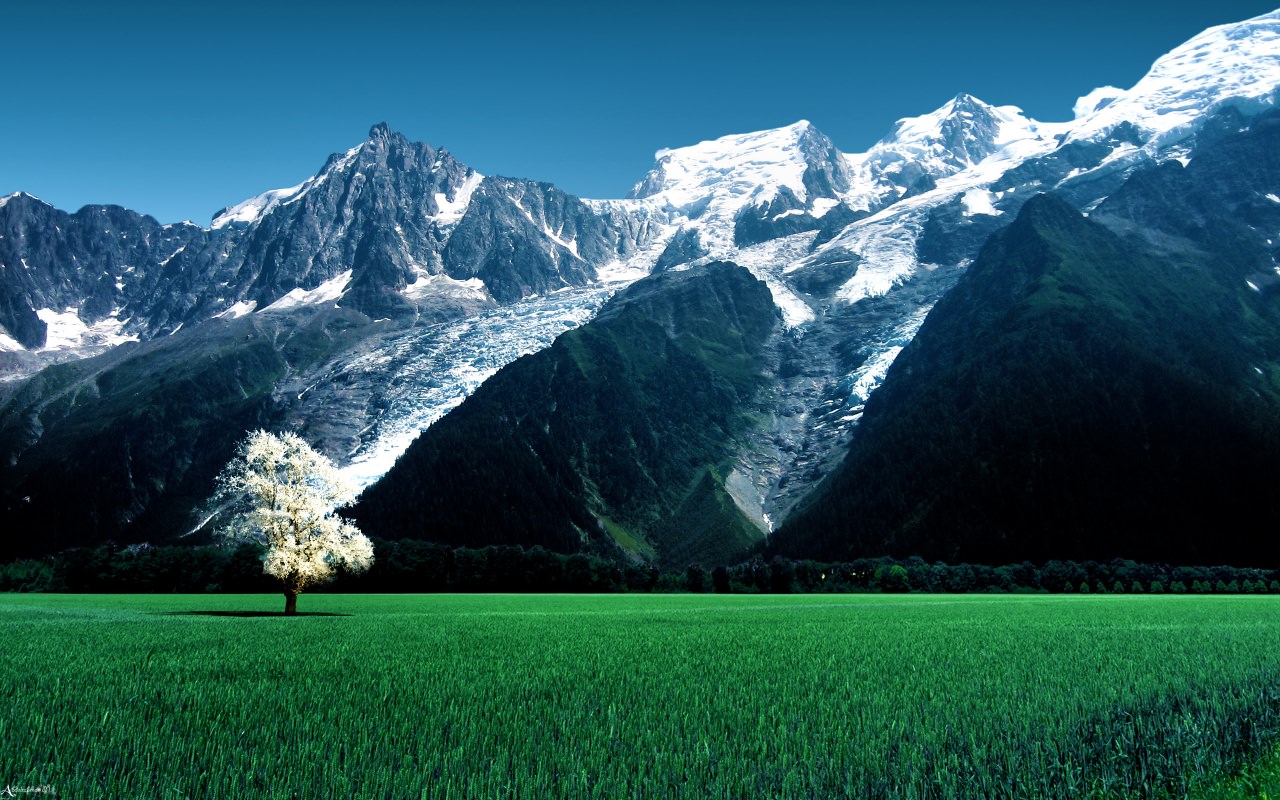 Bossons Glacier Alps Snow Mountains