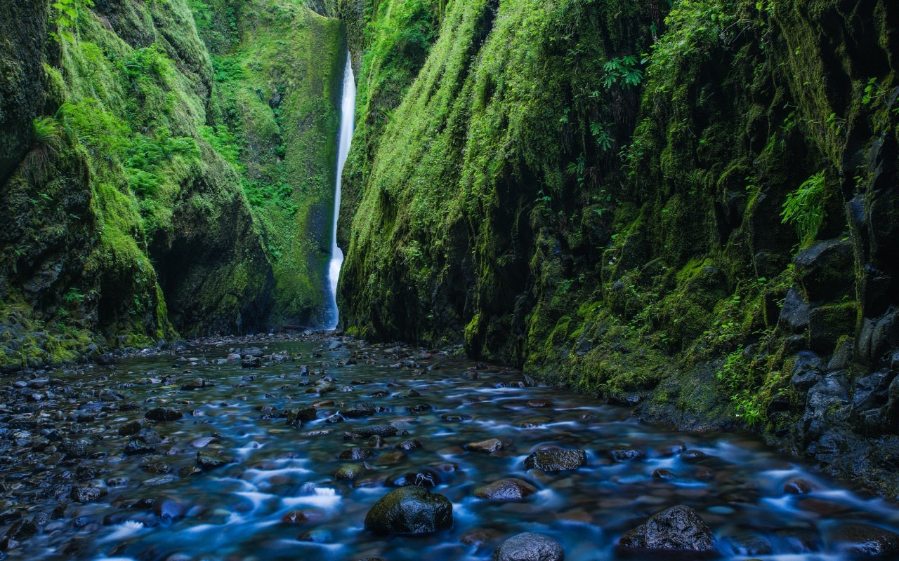 Oneonta Gorge Waterfall Oregon
