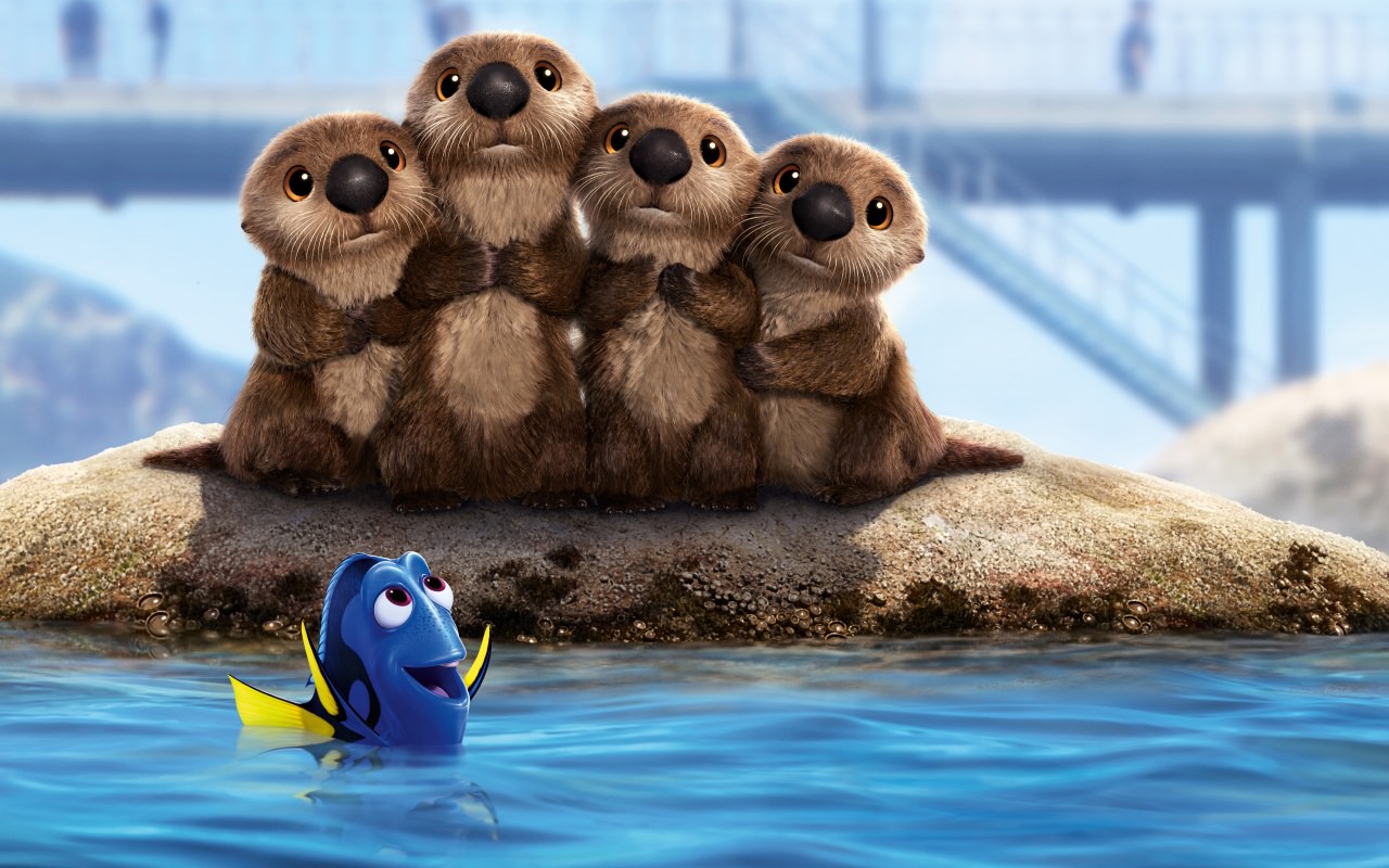 Sea Lions Finding Dory