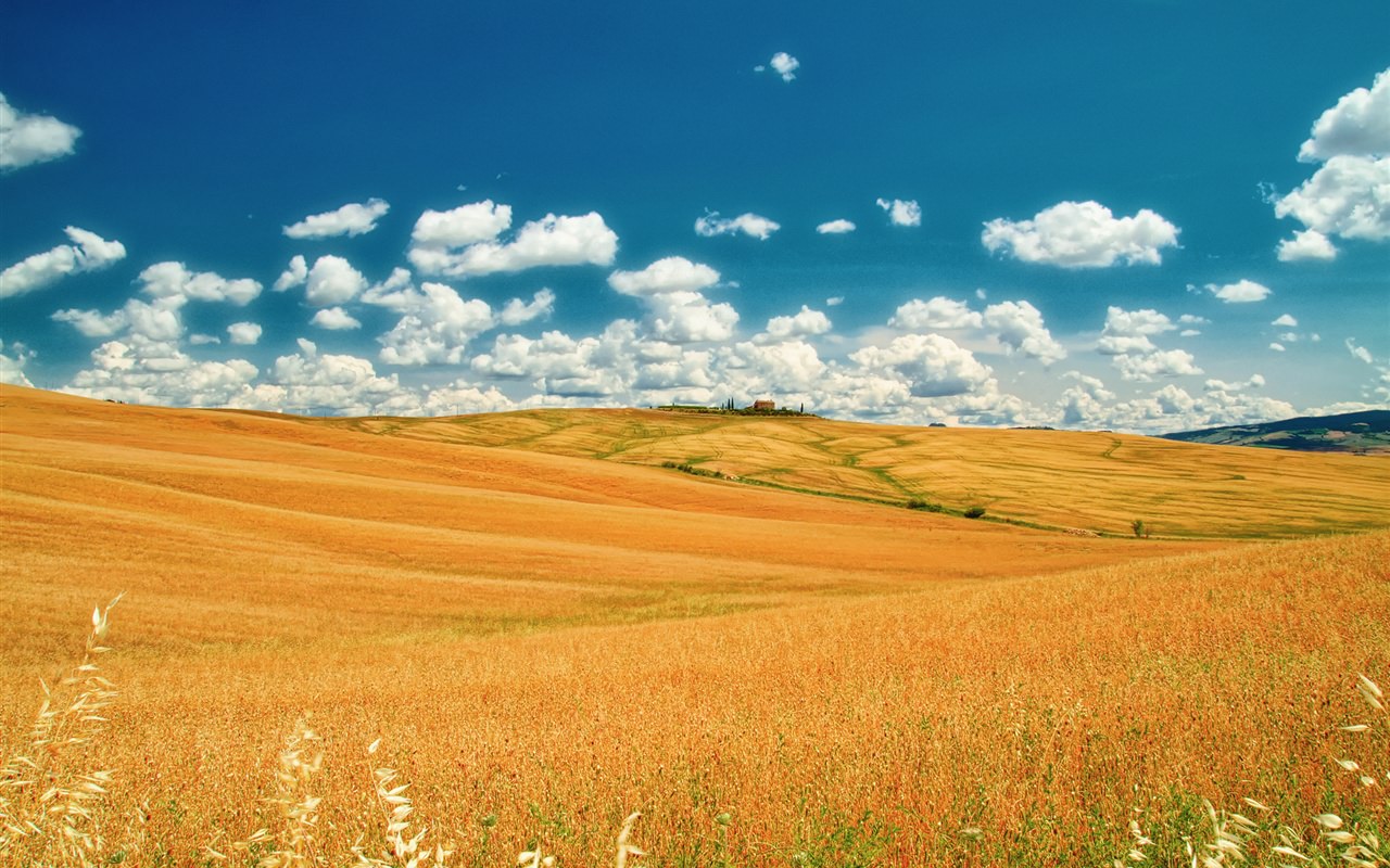 Tuscany Summer Fields in Italy