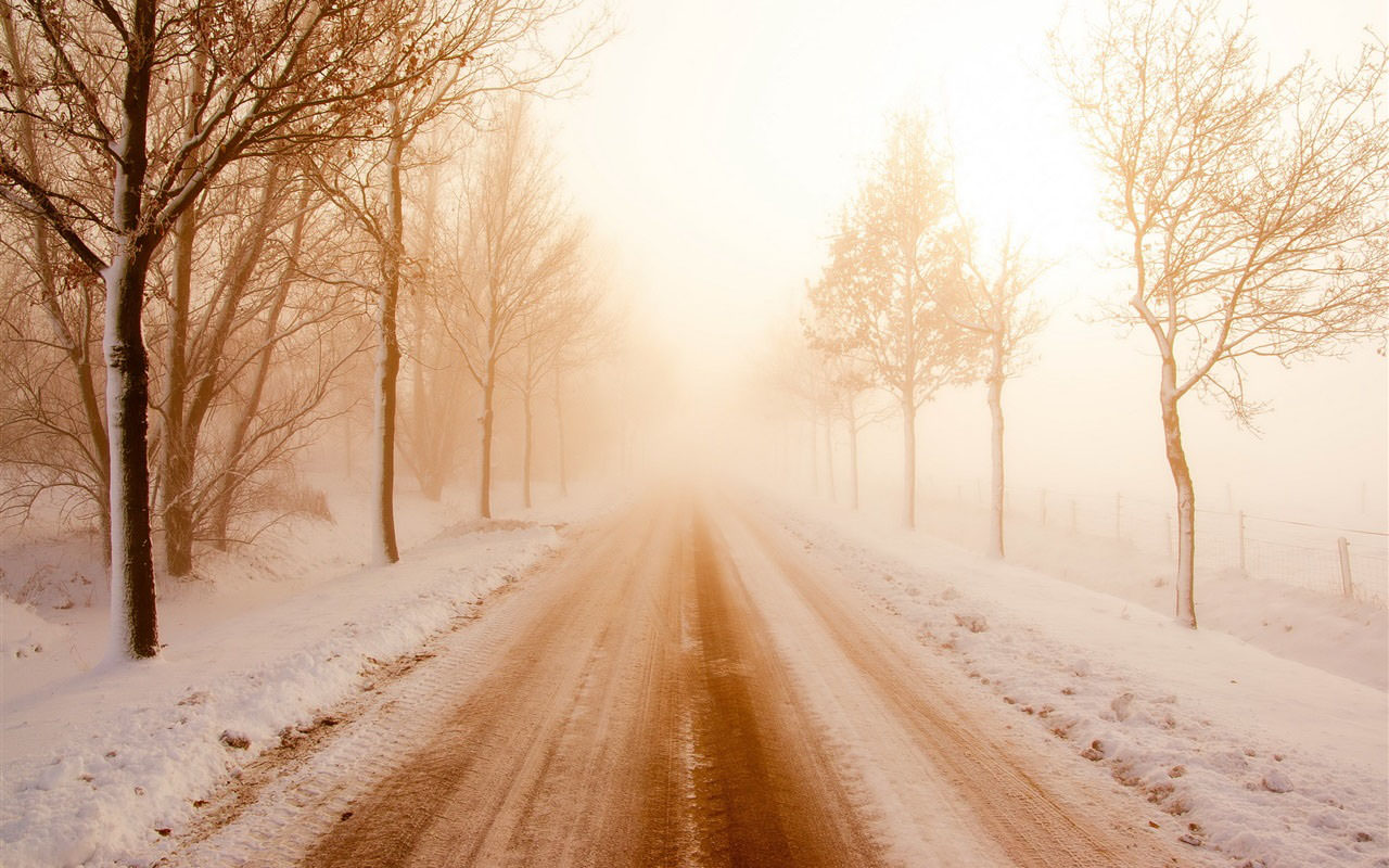 Sepia Winter Road Morning