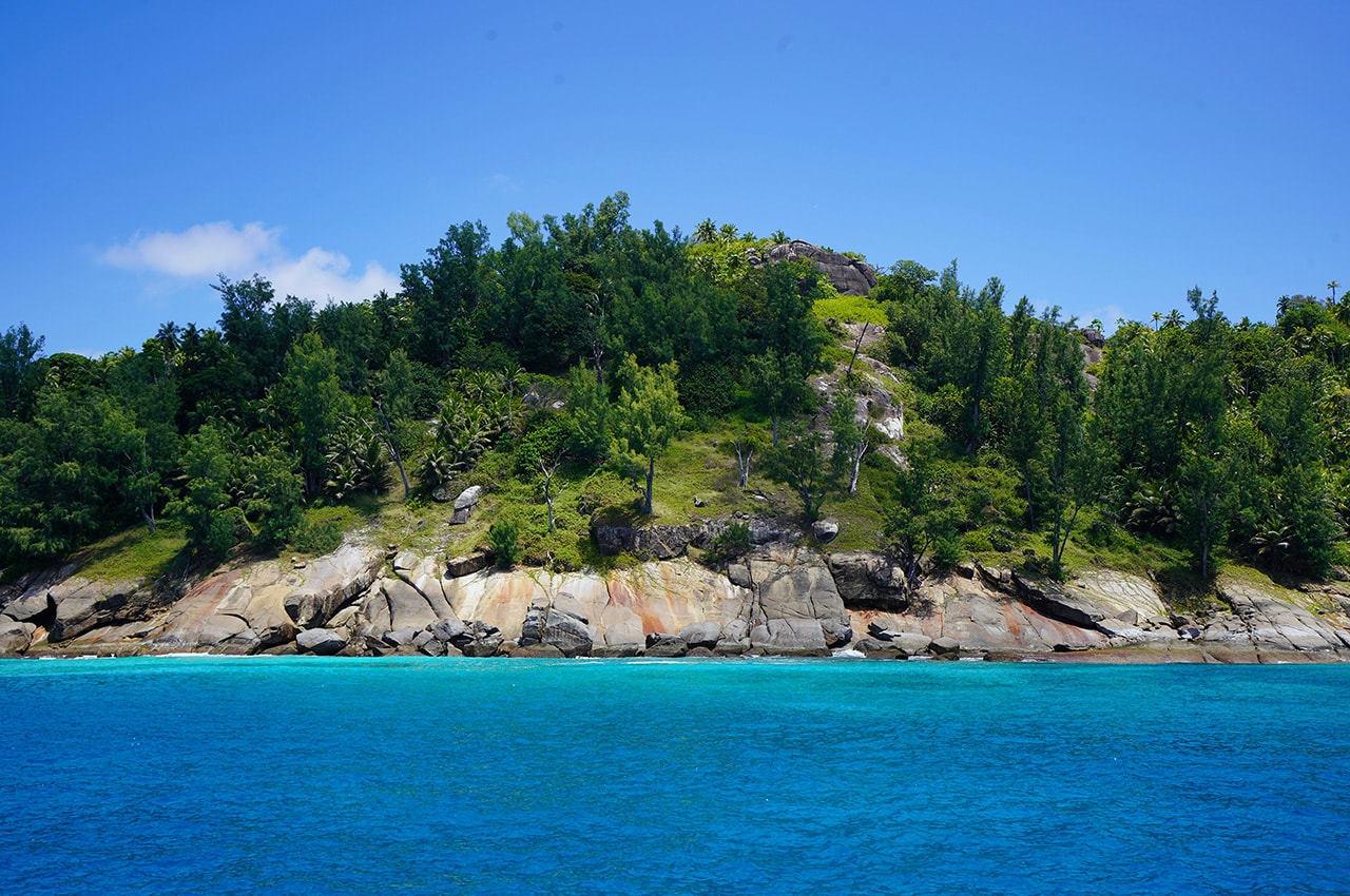 Seychelles Shoreline