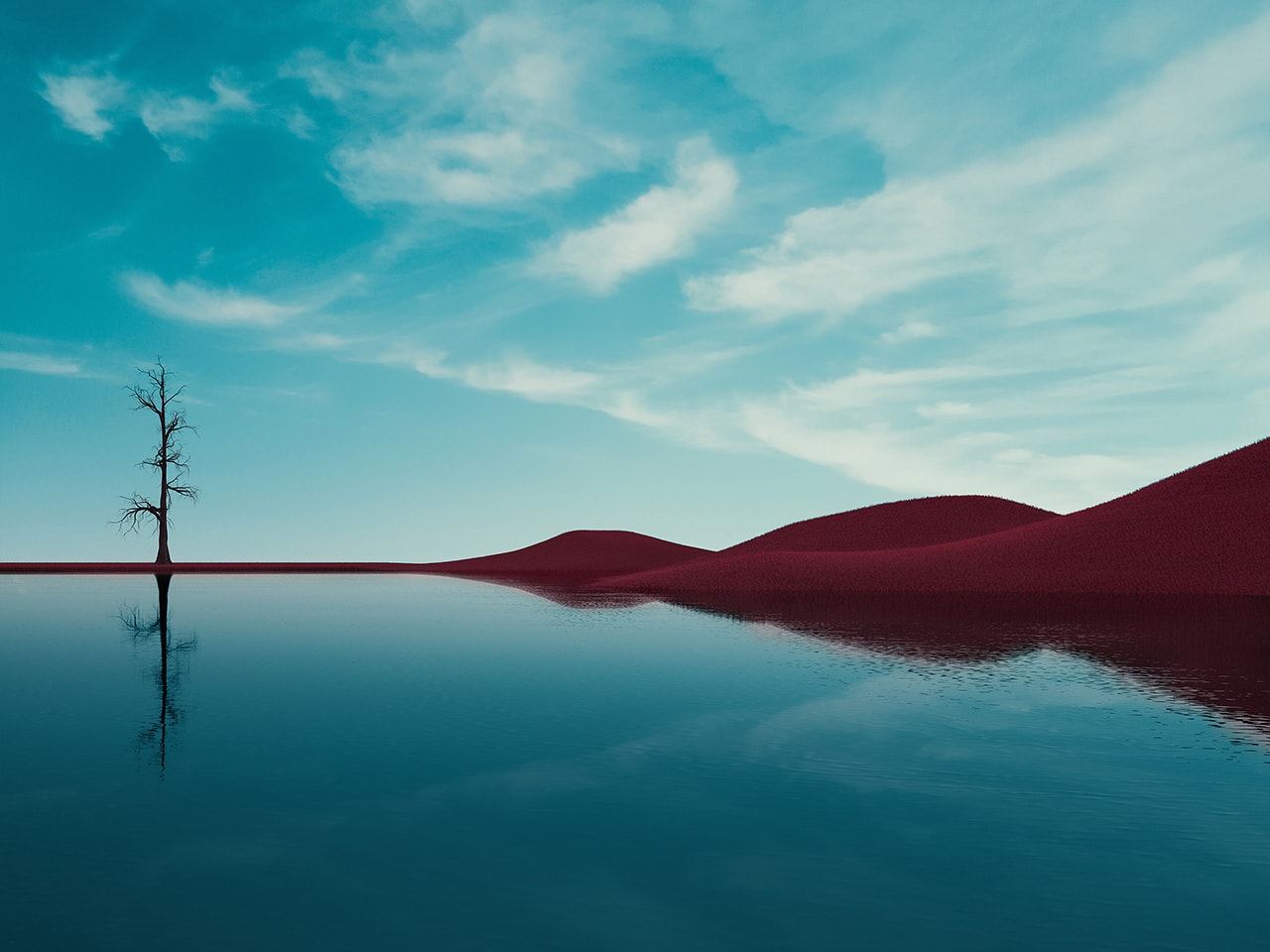 Lonely Tree Lake Reflection