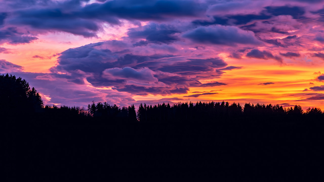 Sunset Clouds Forest