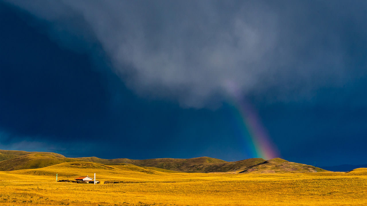Golden Grassland with Rainbow