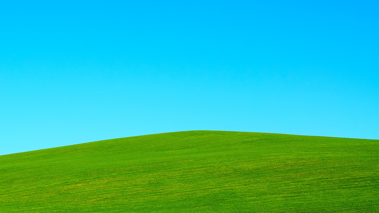 Montescudaio Green Hill
