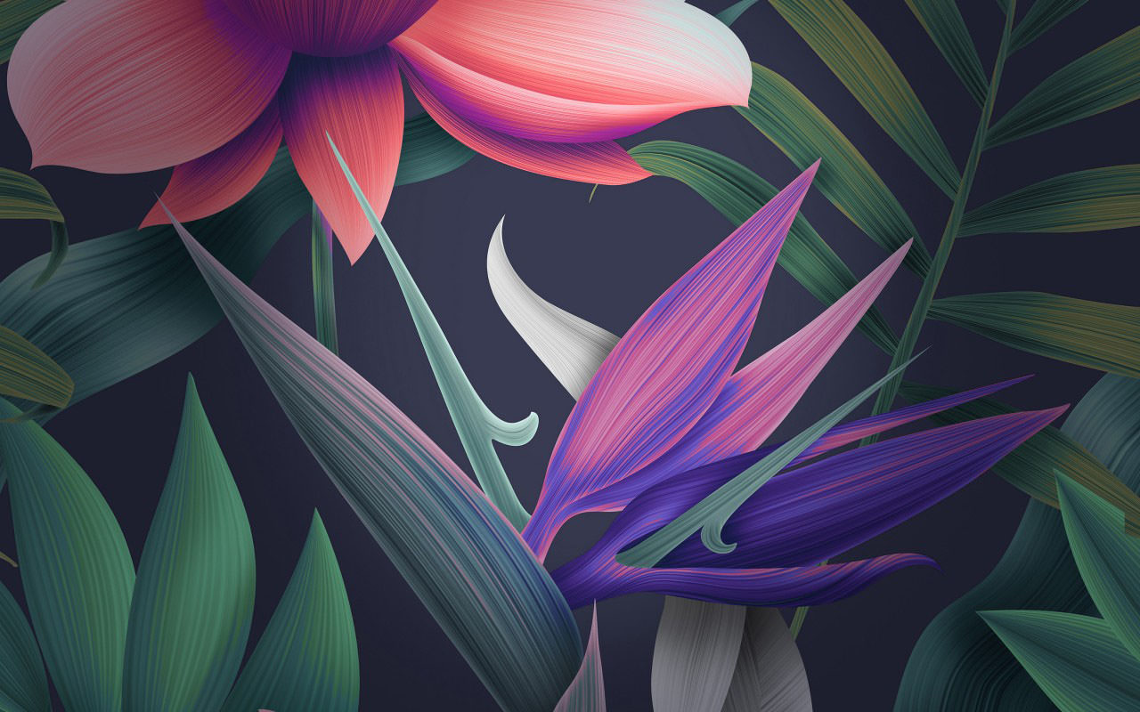 Floral Wallpaper Huawei Mate 10 Stock
