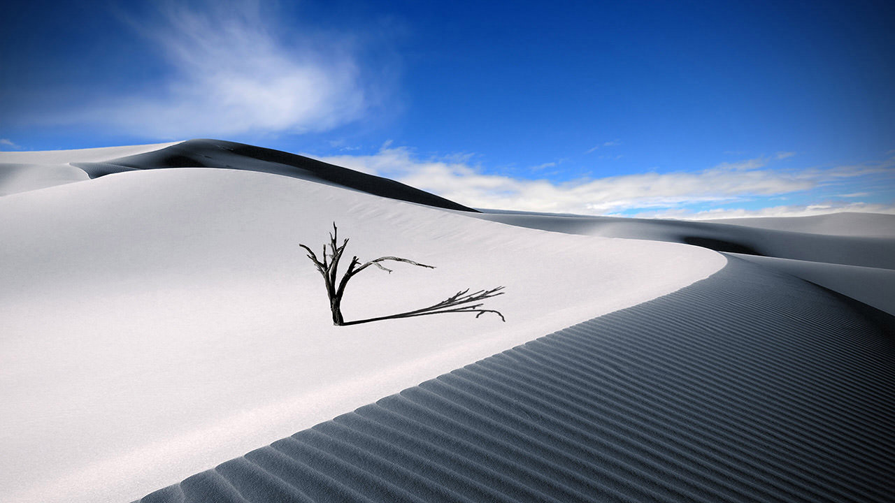 The Dune Desert