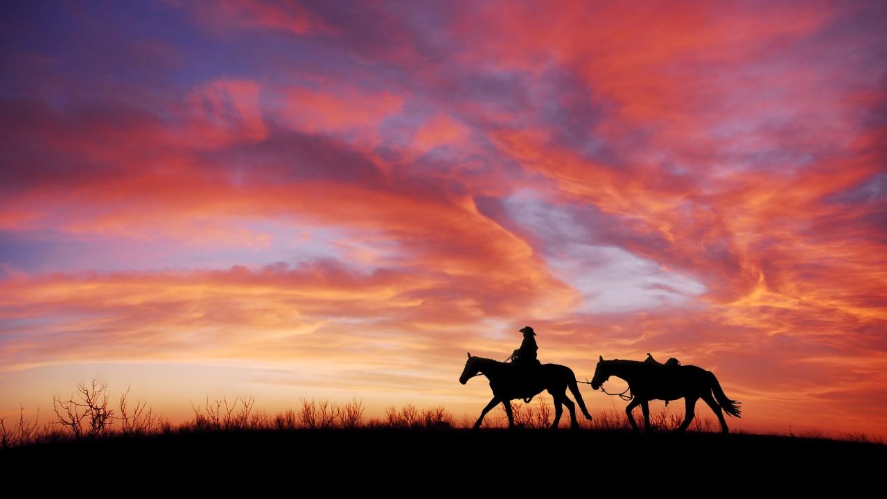 Cowboy Horses Sunset