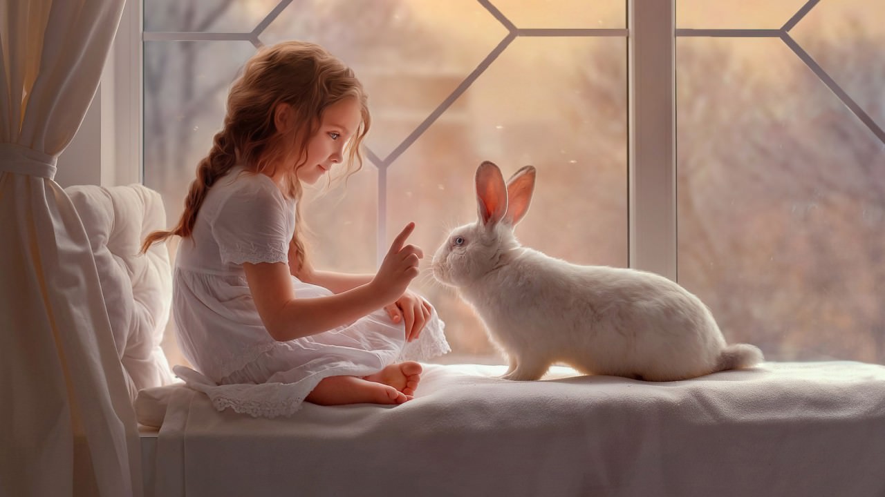 Cute Girl And Rabbit