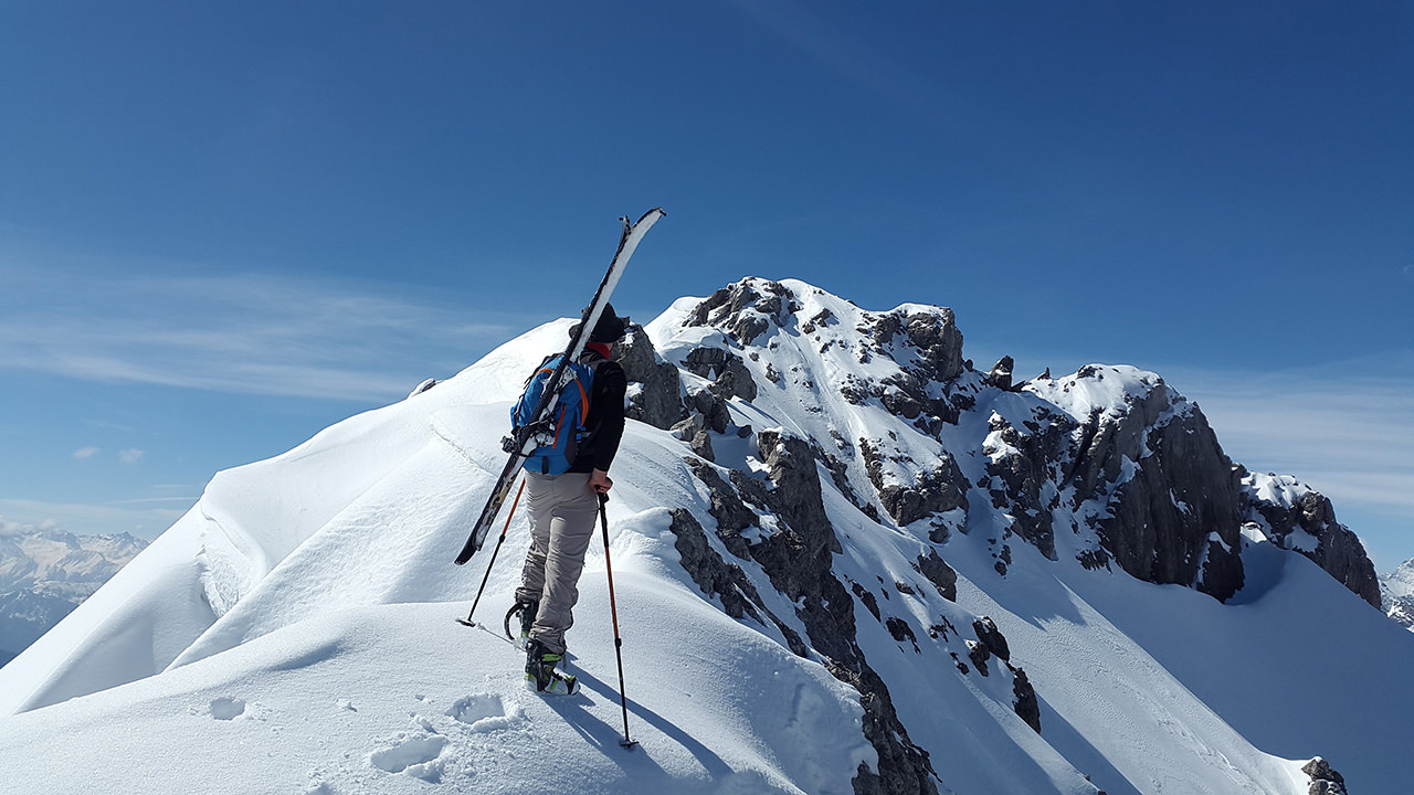 Alps Ski Explorer