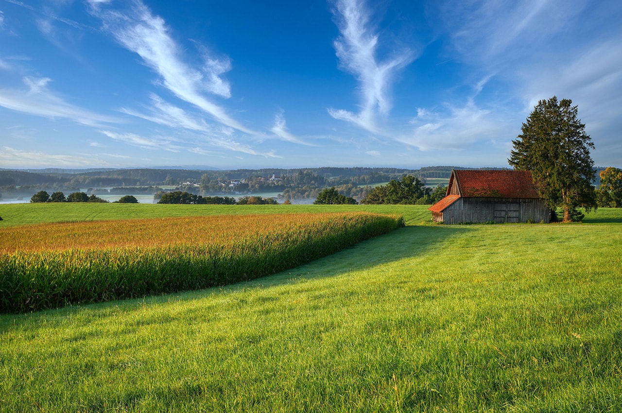 Countryside Scenery