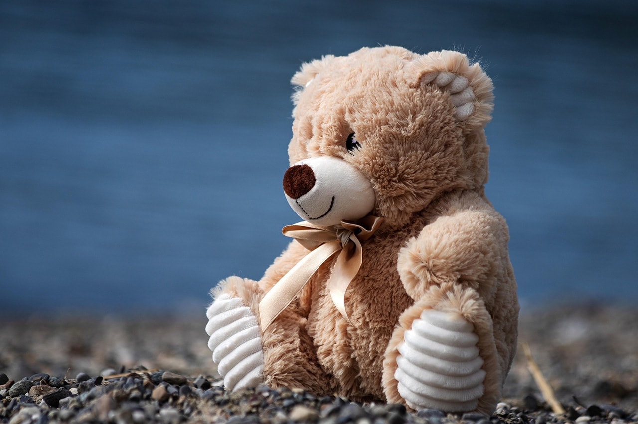 Teddy Bear