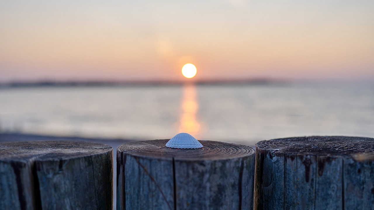 Sunset Shell